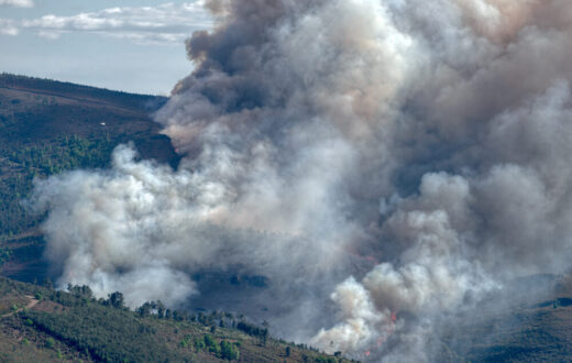 Incendi boschivi in Spagna e Francia