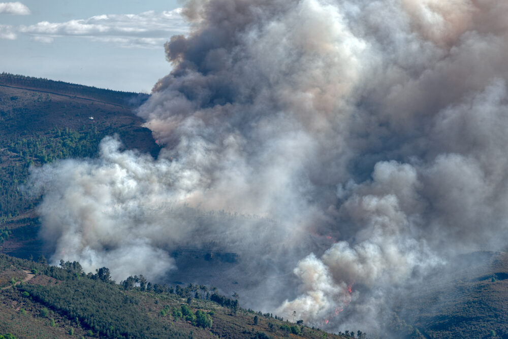 Incendio in Gironda