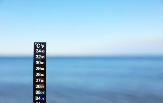 Temperatura superficiale del mare record