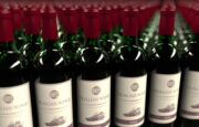Esportazioni di vino italiano negli Stati Uniti