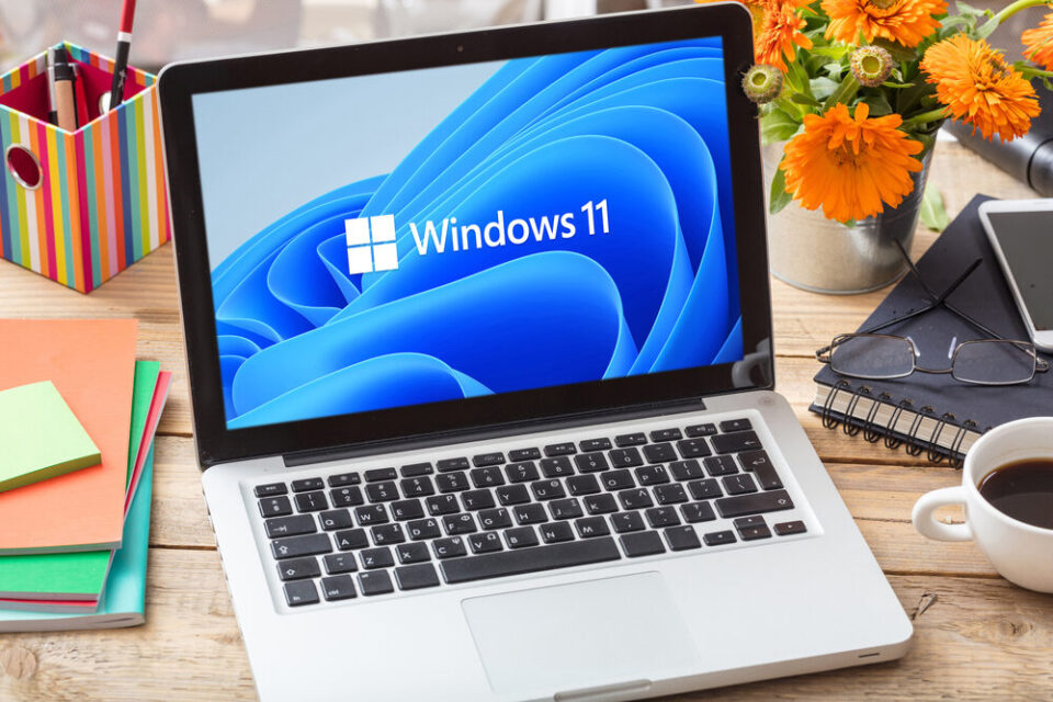 Screenshot di Windows 11 con Microsoft Edge